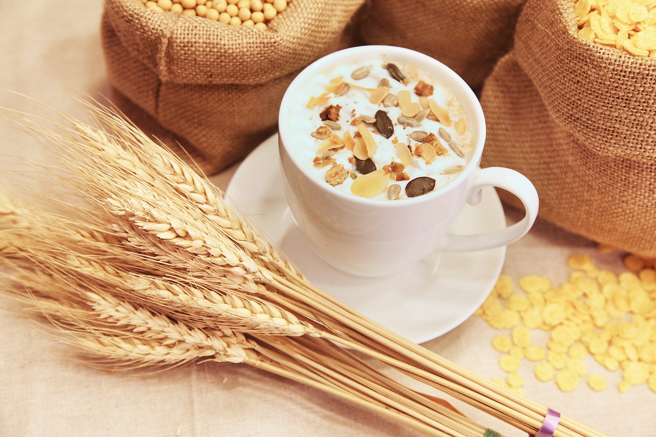 Semillas del Éxito: Cereales y Granos, el Poder Nutricional que Transforma tu Plato