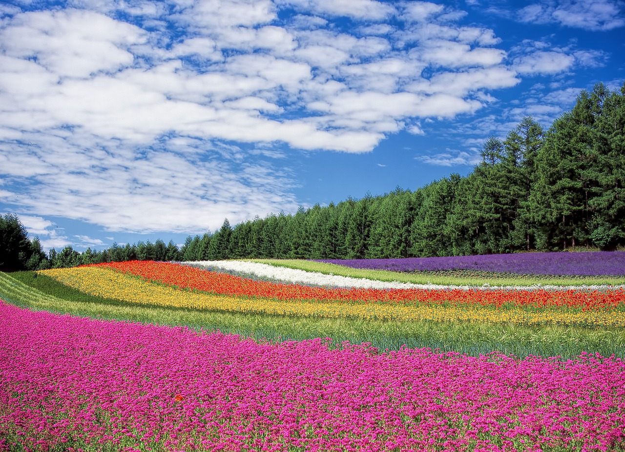 El Jardín Encantado: Flores y Plantas Ornamentales, el Arte Vivo de la Naturaleza