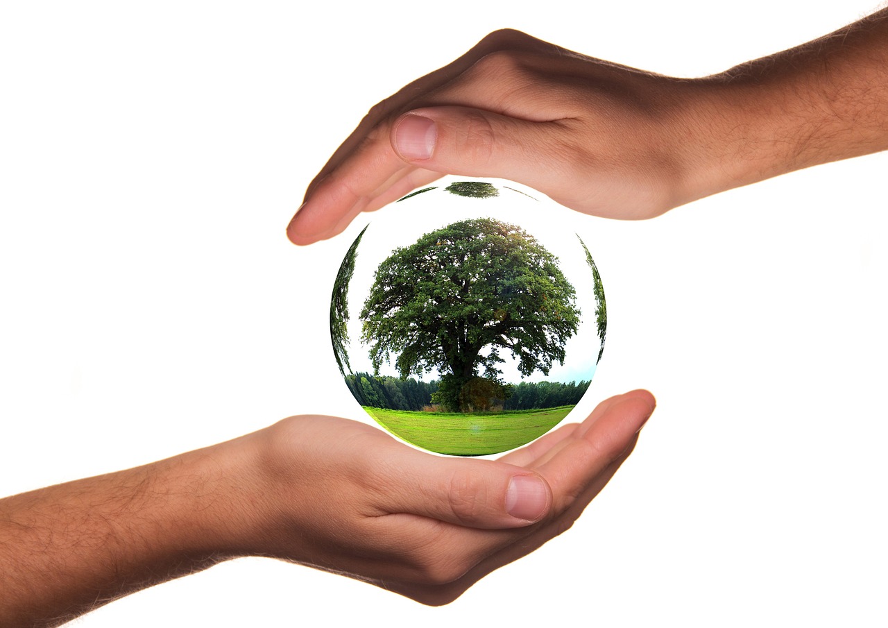 Comercio Sostenible: Tejiendo Futuros Verdes en el Escenario Global