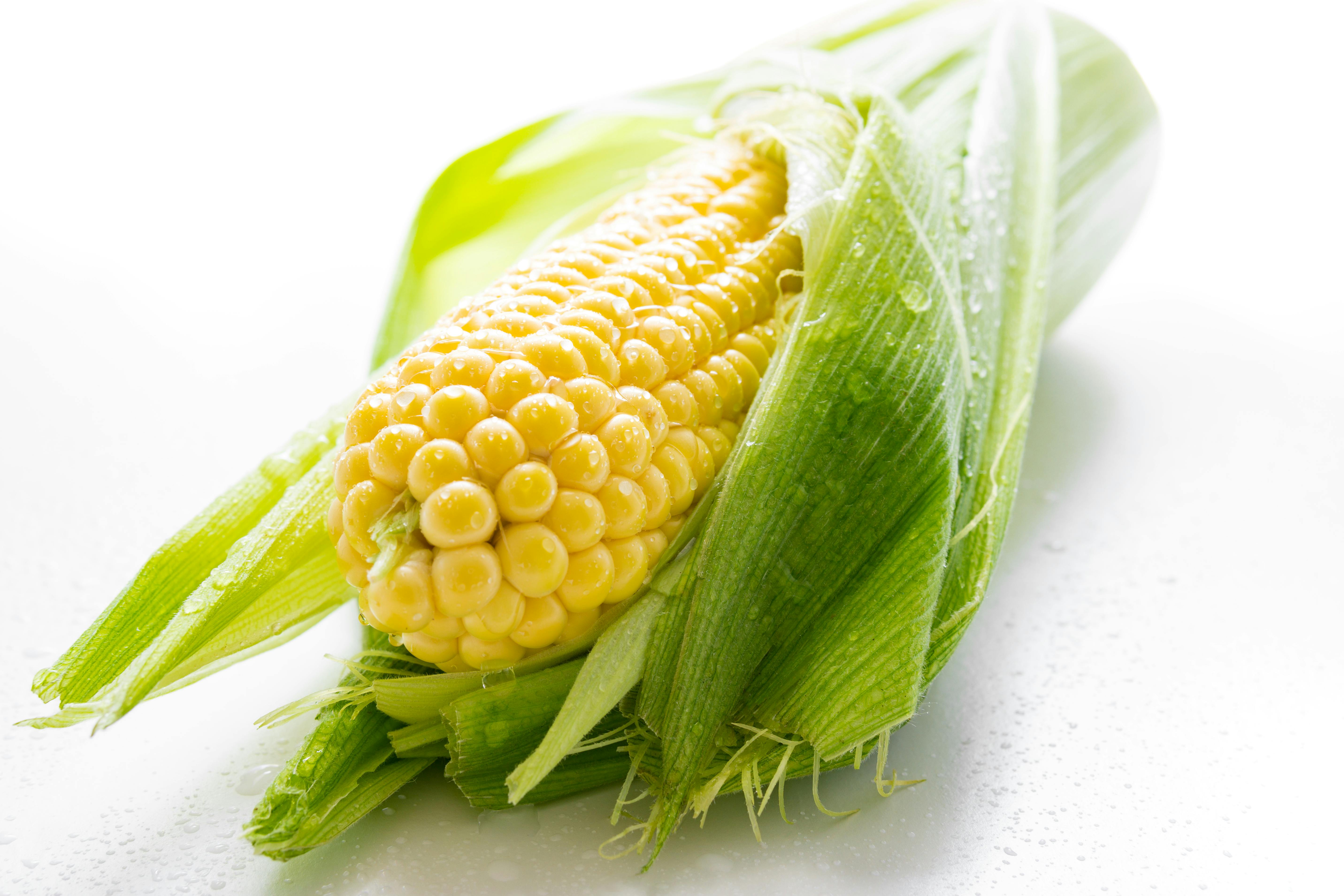 Semillas del Éxito: Cereales y Granos, el Poder Nutricional que Transforma tu Plato