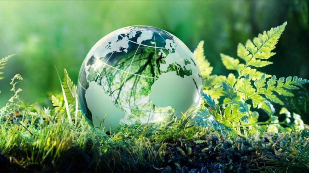 Sostenibilidad y Turismo Responsable