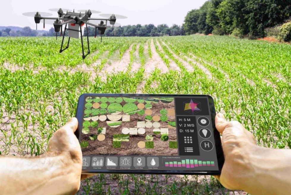Cosechando el Mañana: El Impacto Transformador de la Agronomía de Precisión en la Agricultura Moderna
