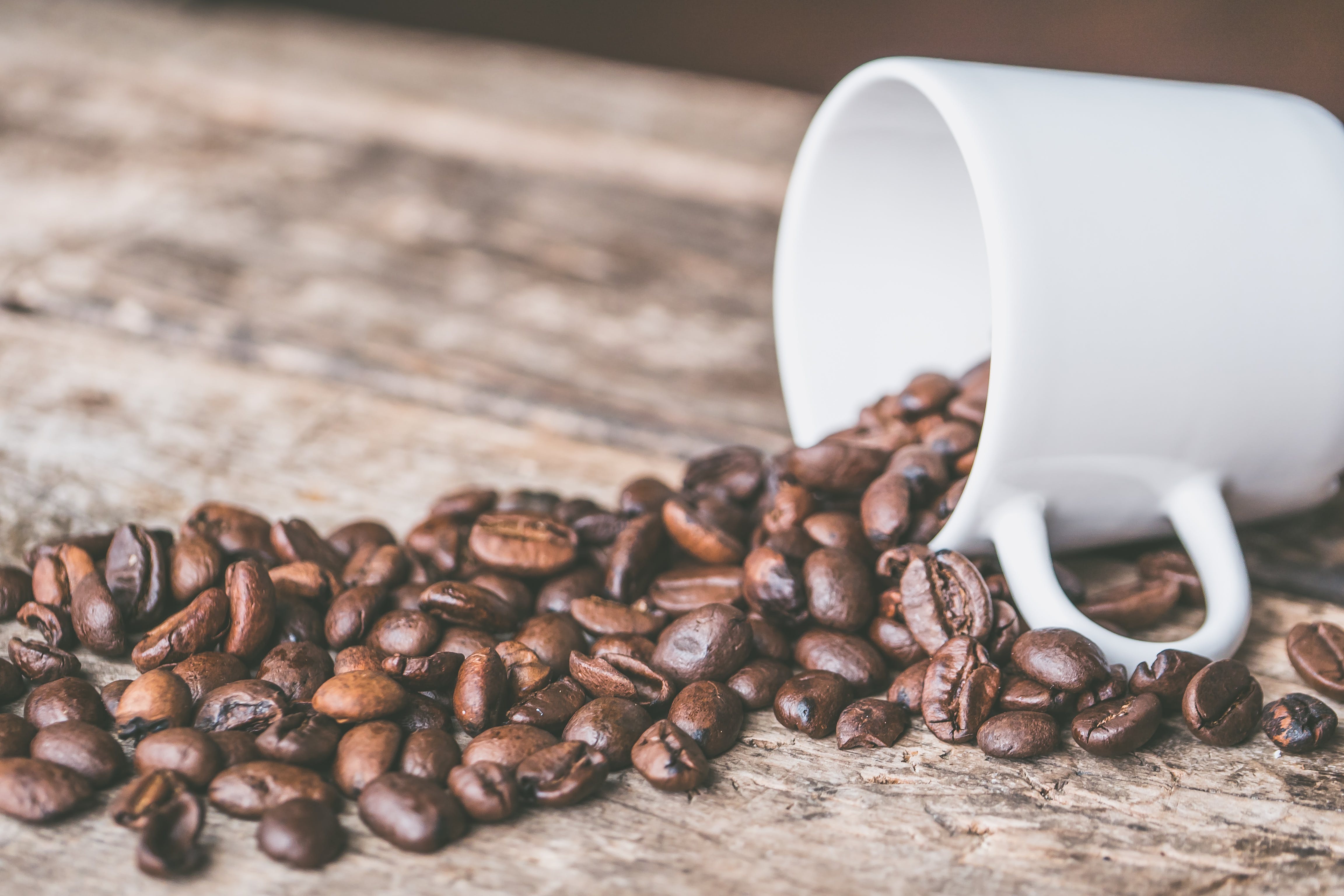 Aromas del Mundo: Café y Té, Tras las Huellas de una Tradición Global