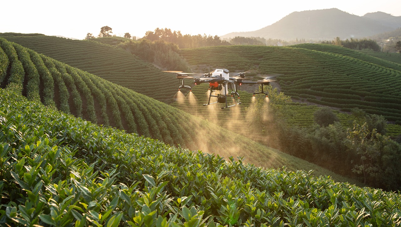 La Revolución Silenciosa en los Campos: Agronomía Digital Transformando la Agricultura