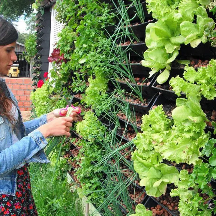 Revolution Harvest: La Agricultura Vertical, un Oasis Verde en el Concreto Urbano